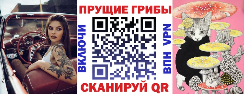 Псилоцибиновые грибы Psilocybe  Купить где  Бугуруслан 